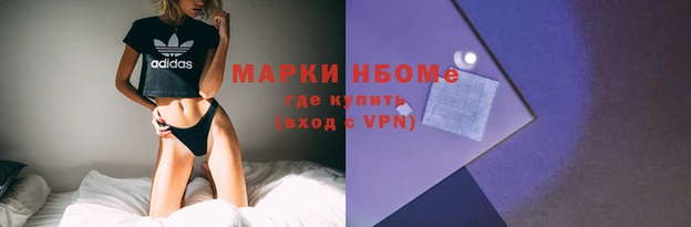 дживик Тында
