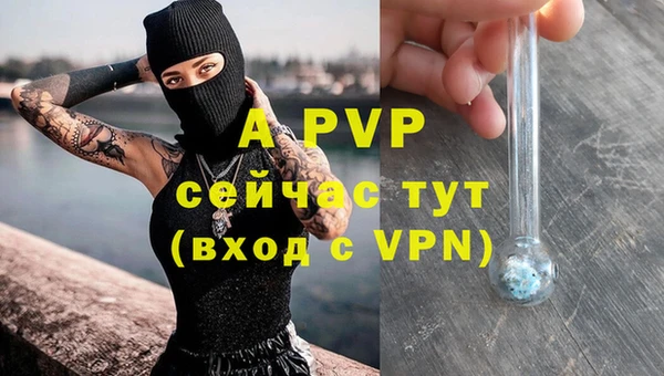 сатива Инсар