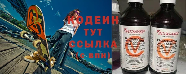 сатива Инсар