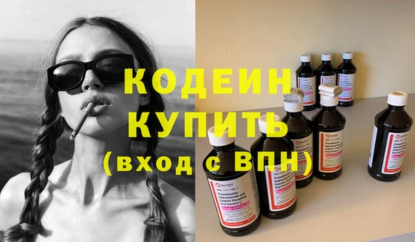 сатива Инсар