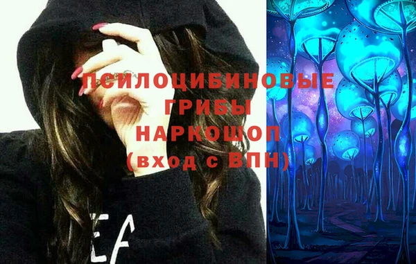 крисы Усинск