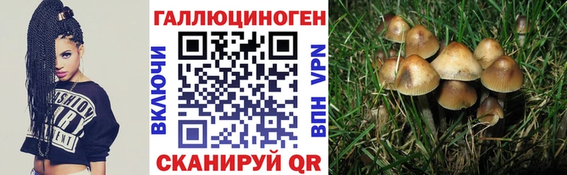 Галлюциногенные грибы мухоморы  гидра онион  Черкесск 