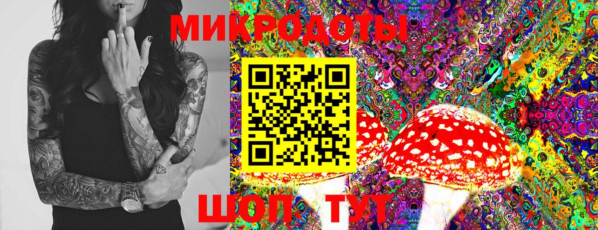 Псилоцибиновые грибы Cubensis Черкесск