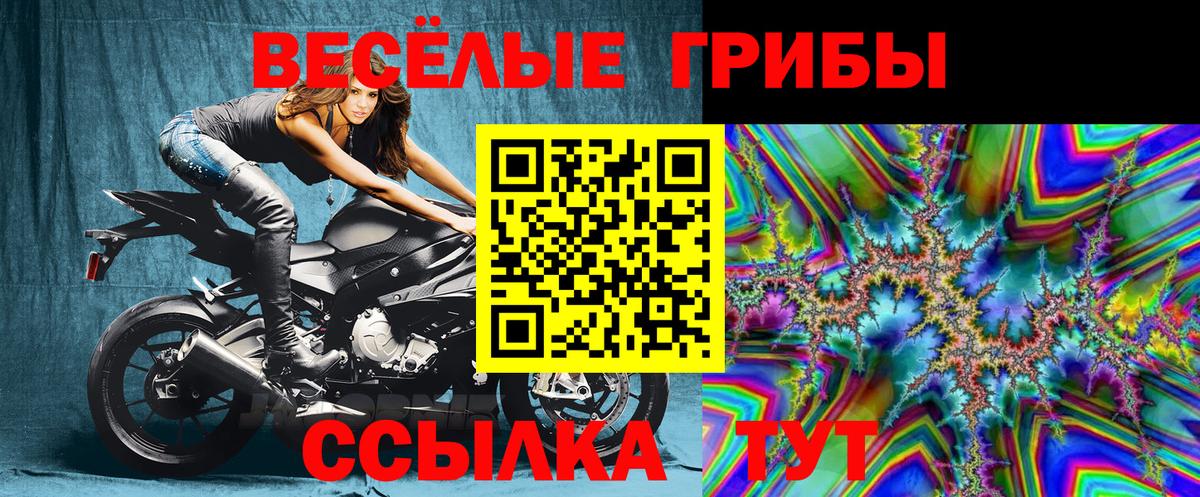 Галлюциногенные грибы мухоморы  Псилоцибиновые грибы мухоморы  Черкесск 